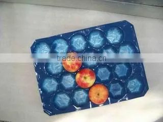 PP Packaging Tray For Fruit
