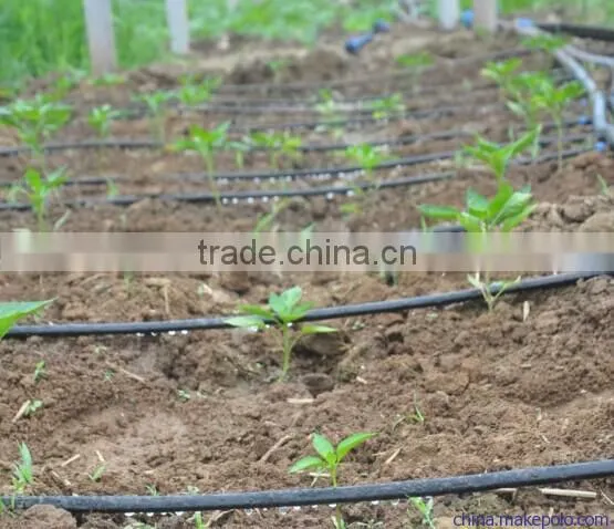 PE Raw Material Flat Emmiter Drip Tape Manufacture With Irrigation Dripline in China for Agriculture