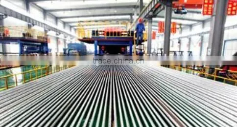 China Heavy-duty Steel Cord Conveyor Belt Exported to Iran Local Markets