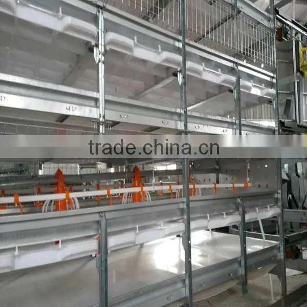 New Design Fully Automatic Cheap Chicken Coops for Brolier Chicken Farm photo-2