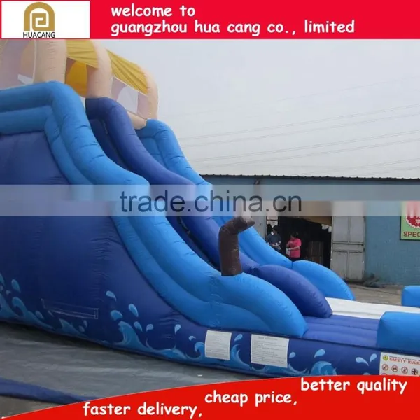 Commercial Grade Giant Inflatable Water Slide for Sale photo-3