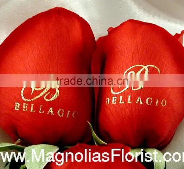 Digital Red Rose Printer,printe White Ink on Flowers,beautiful Flower Printer photo-3