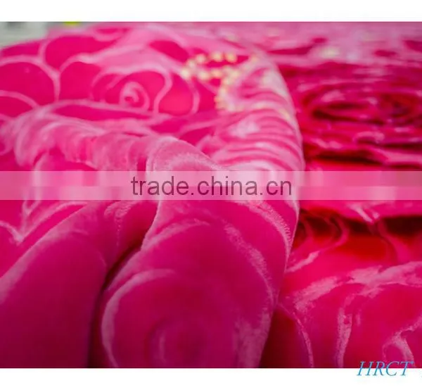 Hot Selling New Design 100 % Polyester Korean Style2Ply Mink Blanket photo-4