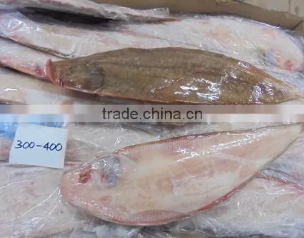 FROZEN SOLE FISH photo-3