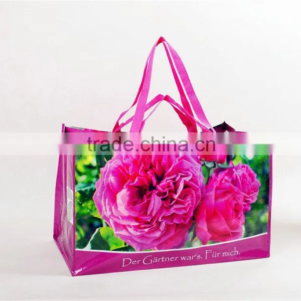 Wenzhou Beautiful Wholesale pp Woven Carton Chrismas Shopping Bag photo-3