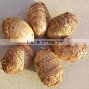 Chinese Taro Root 60g and up photo-2