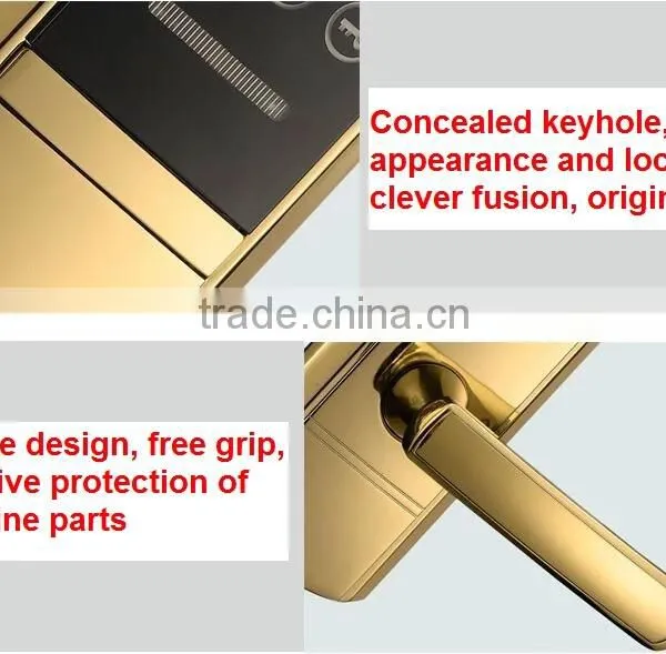 Biometric Keypad Fingerprint Door Lock Remote Control Electric Glass Door Lock photo-3
