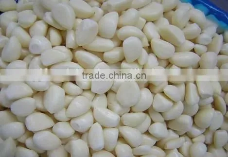 Good Qaulity IQF Peeled Garlic photo-5