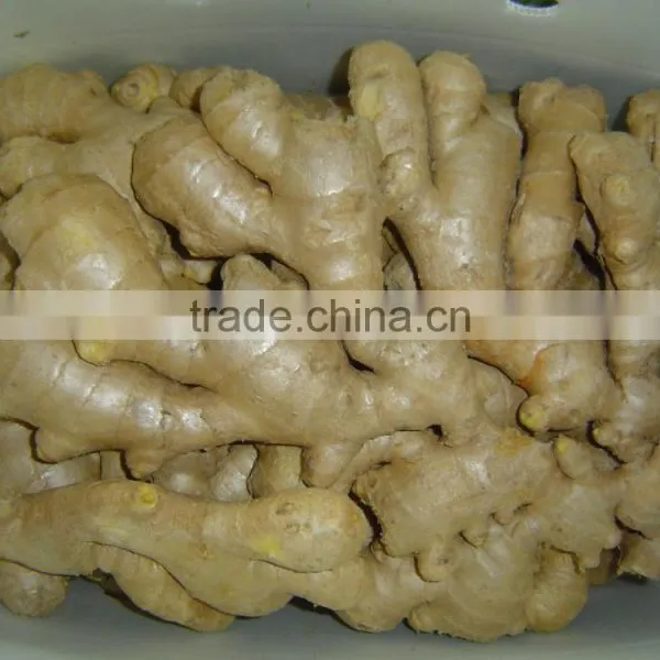 Fresh Air Dried Ginger photo-4