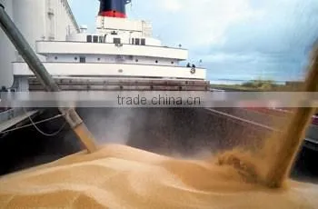 Worldwide Shipping of Any Commodies( Coal, Iron Ore, Cement, Fertilisers, Salt, Containers, Steel, Grain, Coke, Scrap, Timber,) photo-3