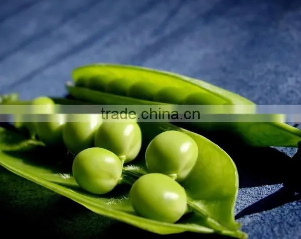Soybean Peeling Machine /green Bean Peeling Machine photo-5