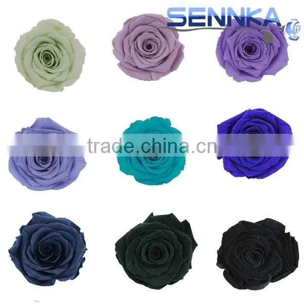 Preserved Flower Wedding Gifts for Guests Preserved Blue Rose Flower photo-4