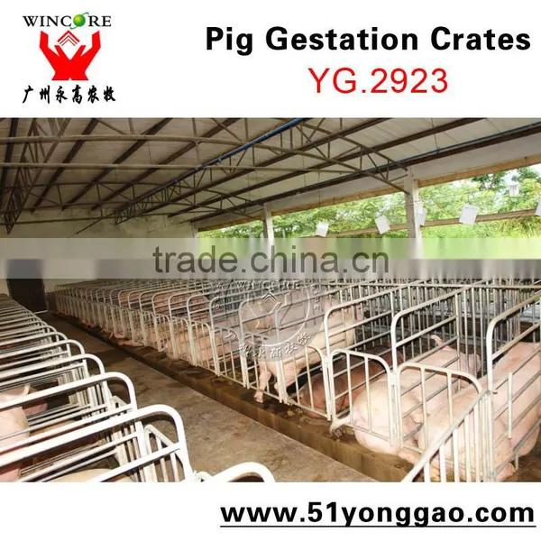 Pig Farm Equipment Sow Pig Gestation Crates Pig Equipment photo-2