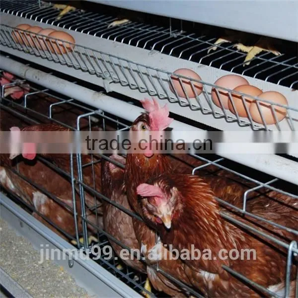 High Quality Galvanised Steel Wire Layer Chicken Cage for Sale photo-2