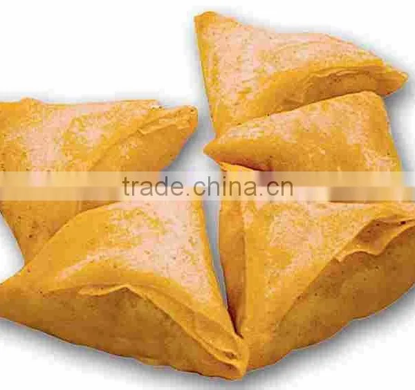 Light Weight Spring Roll/samosa/dumpling Making Machine photo-6