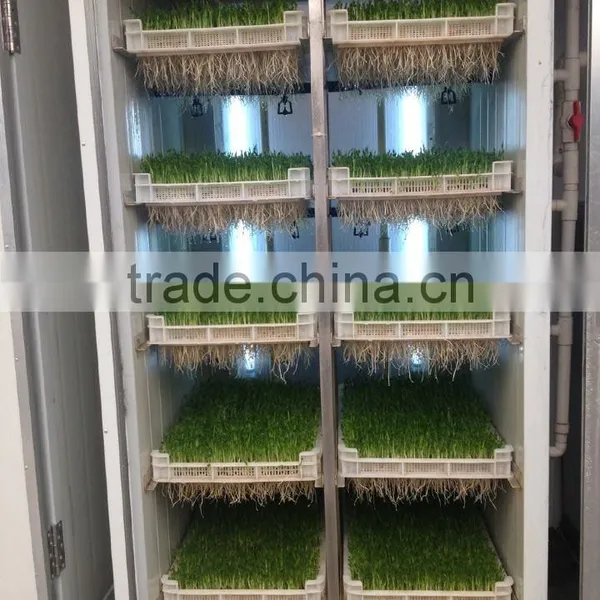 Automatic Bean Bud Seeding Machine With High Quality Best Price photo-5