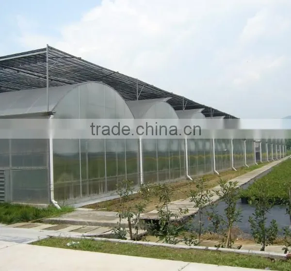 Low Cost Tunnel Plastic Greenhouse For Sale photo-6