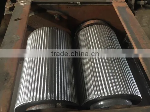 Double Roller Compaction Granulator Manufacturer photo-6