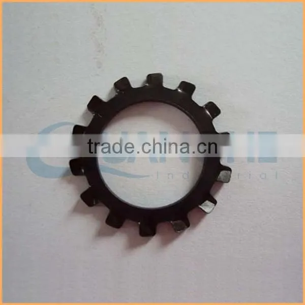 China Professional Manufacturing Internal Lock Washer photo-6