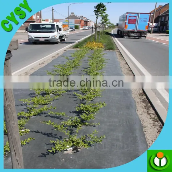 [Manufacturer] PP/PE Woven Anti Weed Mat, Weed Control Mat Made up of Pp/pe photo-5