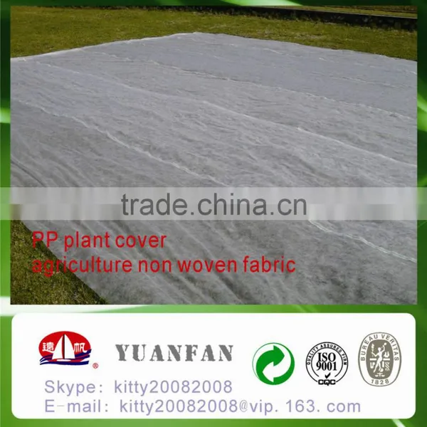 UV Treated PP Spunbond Non Woven Fabric for Plant Cover / Ground Cover / Tree Cover / Tomato Cover photo-2