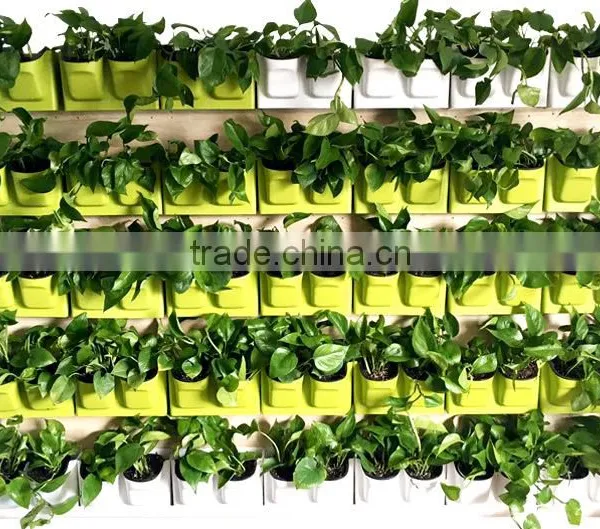 Easy Combined Wall Mounted Planter Indoor Garden Green Wall photo-5