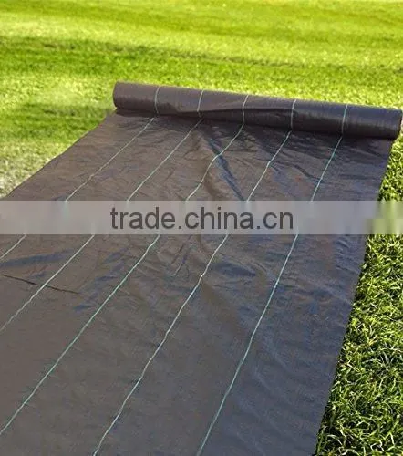 Plastic Ground Cover Breathable Mesh Fabric photo-2
