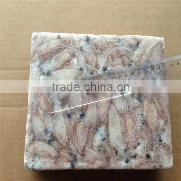 High Quality Whole Round Frozen Baby Squid for Sale photo-2