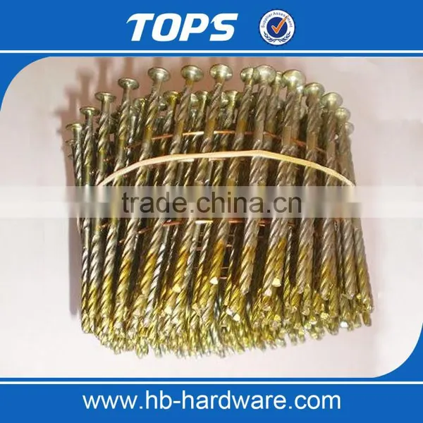 Stainless Steel Screw Wire Coil Nail photo-5