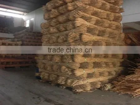 Raw White Pahang All Size Cane photo-3