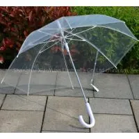 Transparent Umbrella - 04