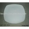 Ceramic Bone Plate