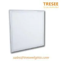 LED Panel Lamp 30x30 Back Lit Flat Ceiling Light Fixture 12W CE Certificate Japan LGP Aishi Capacitor