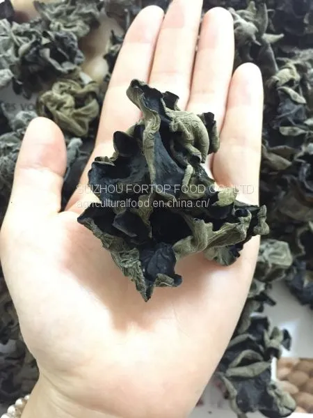 Factory Price Big Fungus Dried Black Mushroom Whole Like a Flower photo-4