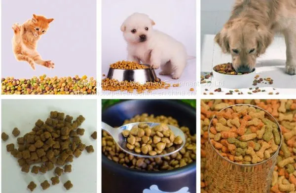 Stainless Steel Pet Food Extruder Cost for Kinds of Pets Feeding photo-4