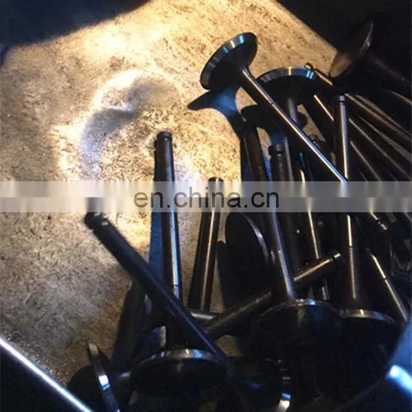 Stock Auto Parts Da465qa Da480qa Engine Intake Exhaust Valve For Faw T57 6371 474q Chery 480 465 272 B2G06-1007011 B2G06-1007012 photo-5