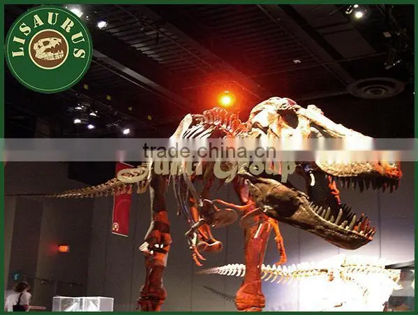 Lisaurus-I Simulation Skeleton Dinosaur Skeleton Puzzles