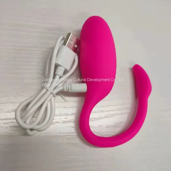 Remote Controlled Love-egg photo-2