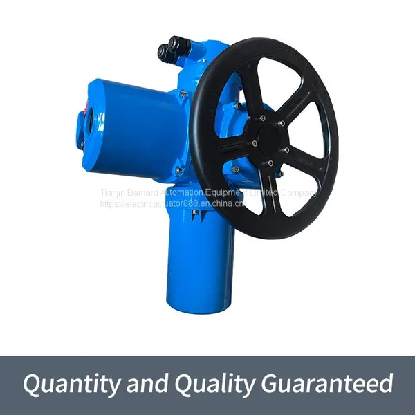 Bernard Multi-turn Electric Actuator DZW60 Thrust Type Valve Electric Device photo-2