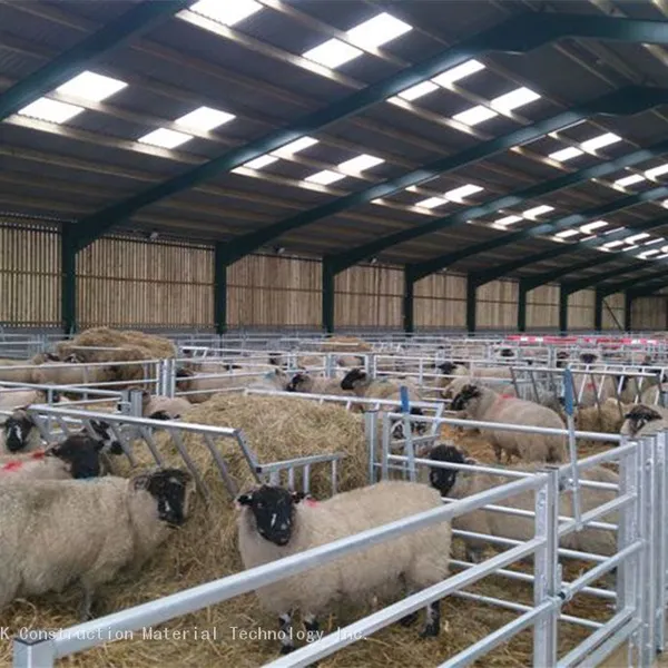 Prefabricated Steel Cattle Sheds Poultry Houses Stables Hay Warehouse Riding Stables Steel Structure Agricultural Building photo-4