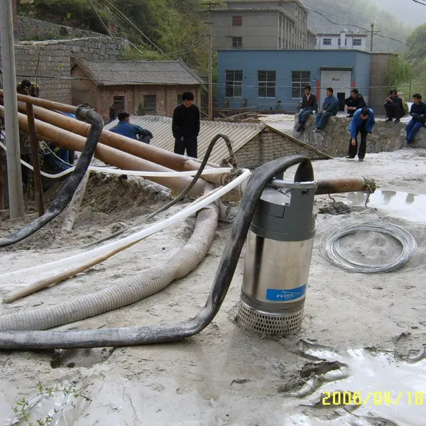 FLYGT Series Submersible Sewage Pump BS2670 Sand Pump Manufacturer photo-5