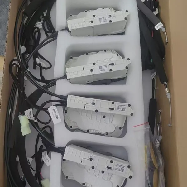 BYD Electric Suction Door photo-3
