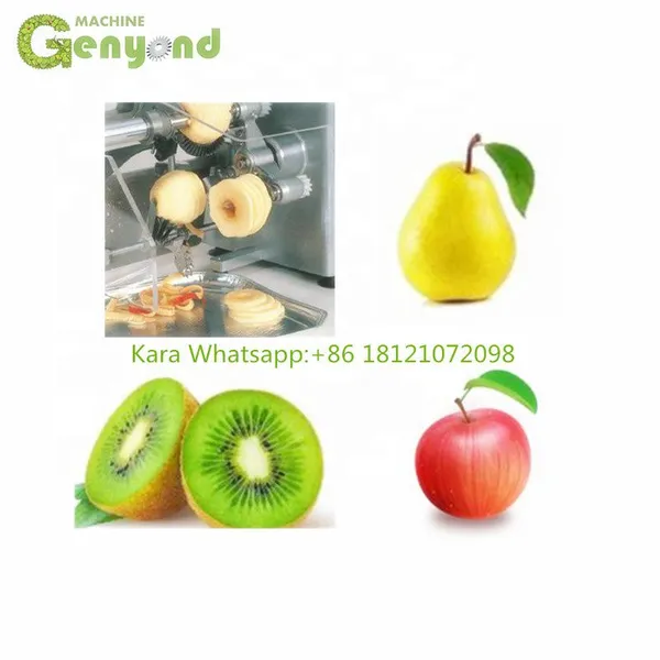 Stainless Steel Apple Persimmon Peeling Machine photo-2