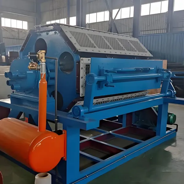 Industry Tray Machine Pulp Molding Line Egg Packing Tray Machine Production Line photo-4