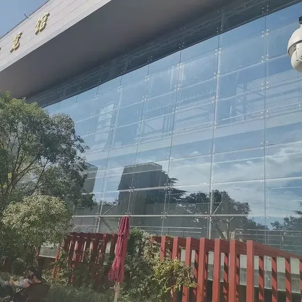 SS316 1 Way Arm Stainless Steel Spider 250mm Free Samples High Loading Capacity Glass Canopy Application photo-3