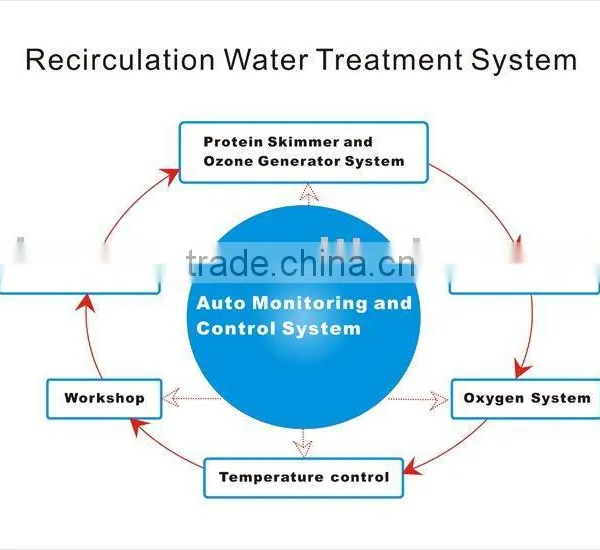 Industrial Fish Farm System photo-2