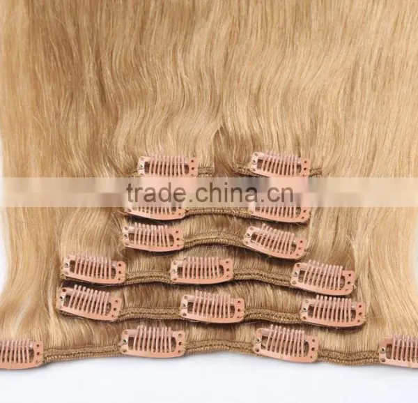 Ombre Human Hair Extensions, Remy Clip in Human Hair Extensions photo-6