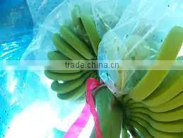 Hot Sale Green Color Banana Bunch Covers photo-3