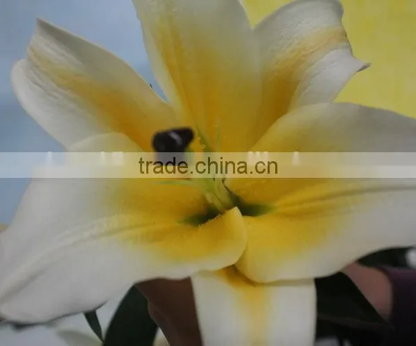 Most Popular Factory Direct Yellow Fresh Lilies photo-6