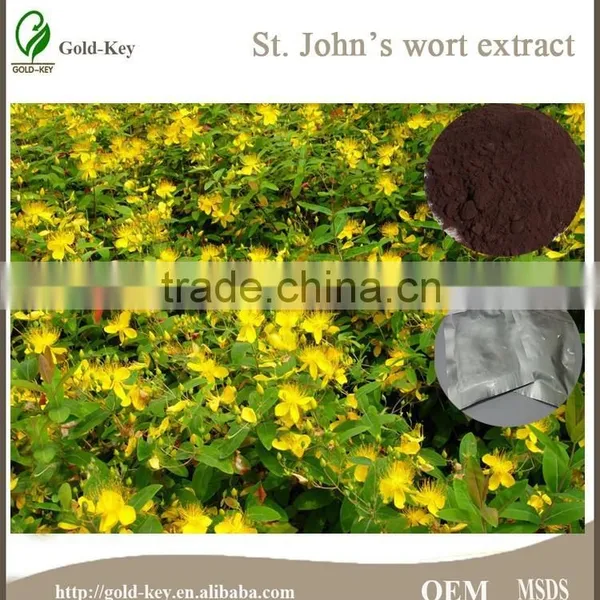 Hypericum Perforatum Extract, St.John's Wort Extract Powder photo-6